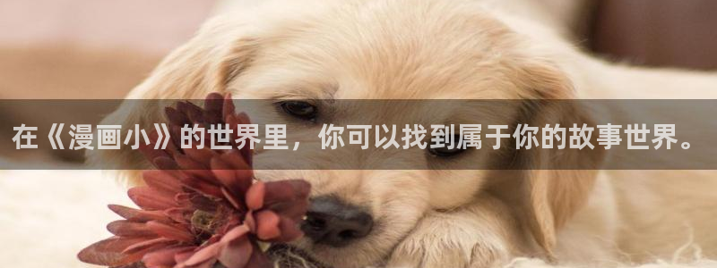 歪歪漫画首页免费进入：在《漫画小》的世界里，你可以找到属于你的故事世界。