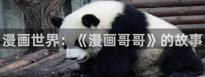 歪歪漫画首页入口：漫画世界：《漫画哥哥》的故事